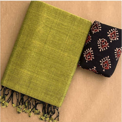 alluring pistta colour traditional looking chanderi cotton saree